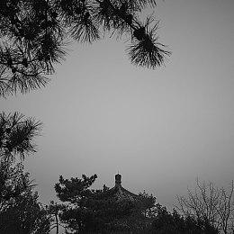 《DOTA2》梦幻联赛S20小组赛分组和赛程公开